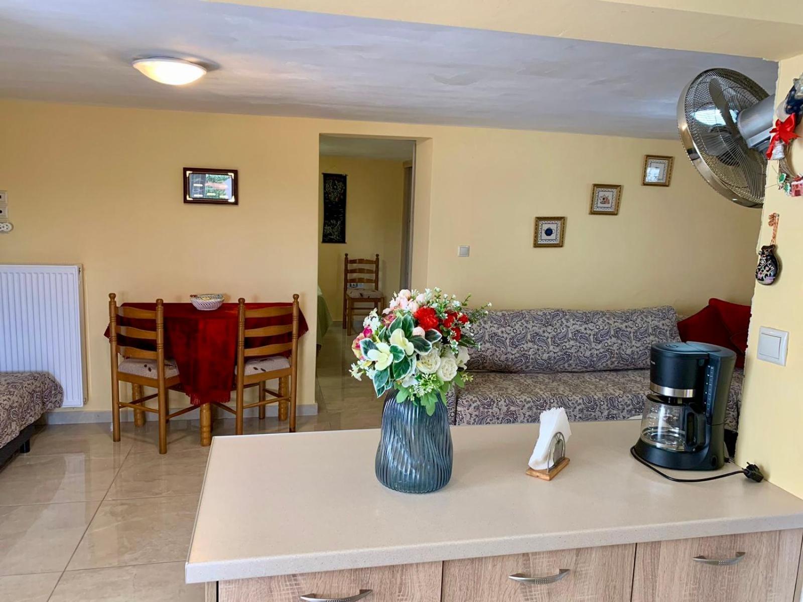 Sofia'S Seaview Villa Near Airport And Beach 아르테미다 외부 사진